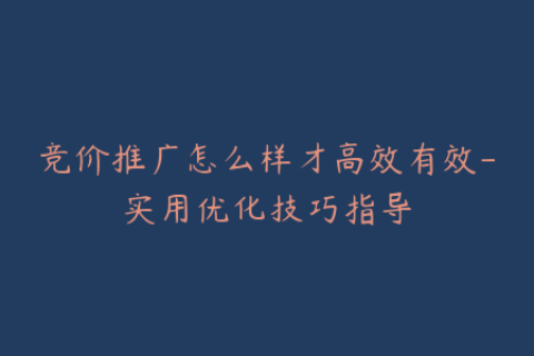 竞价推广怎么样才高效有效-实用优化技巧指导