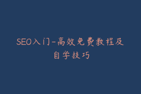 SEO入门-高效免费教程及自学技巧