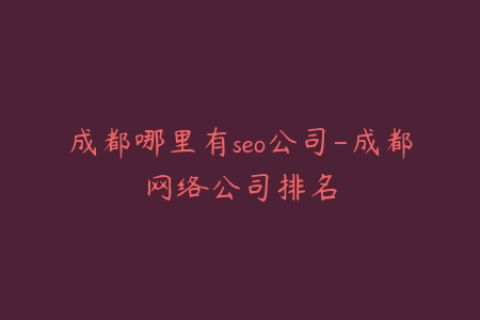 成都哪里有seo公司-成都网络公司排名