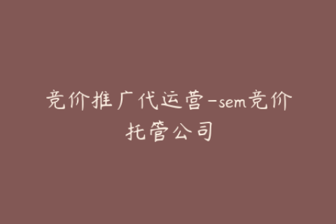 竞价推广代运营-sem竞价托管公司
