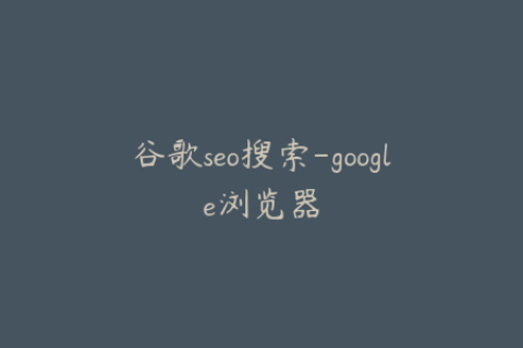 谷歌seo搜索-google浏览器