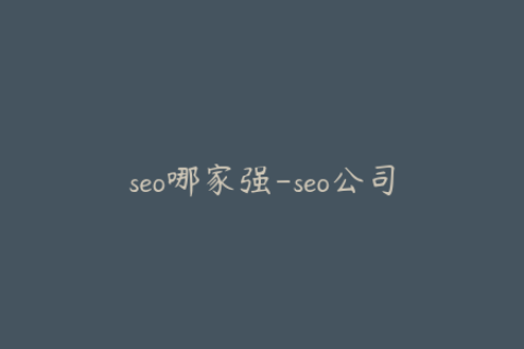 seo哪家强-seo公司