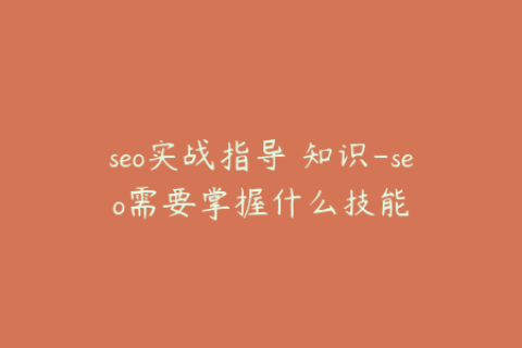 seo实战指导 知识-seo需要掌握什么技能