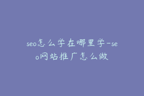 seo怎么学在哪里学-seo网站推广怎么做