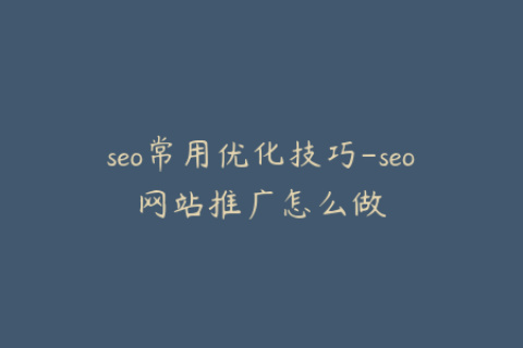 seo常用优化技巧-seo网站推广怎么做