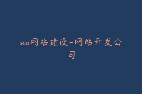 seo网站建设-网站开发公司