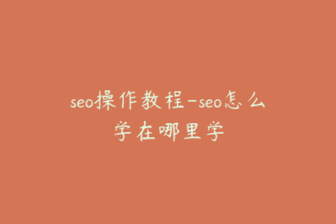 seo操作教程-seo怎么学在哪里学