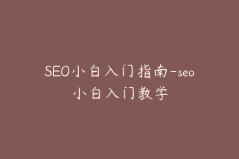 SEO小白入门指南-seo小白入门教学