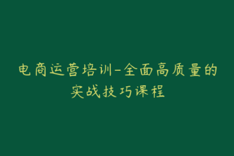 电商运营培训-全面高质量的实战技巧课程