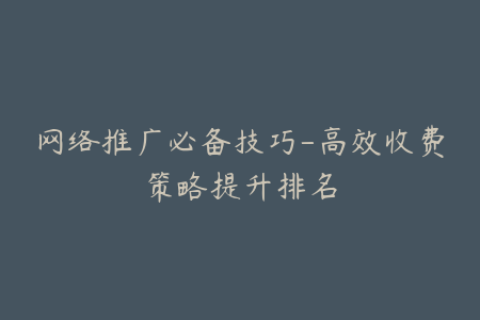 网络推广必备技巧-高效收费策略提升排名
