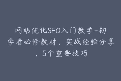 网站优化SEO入门教学-初学者必修教材，实战经验分享，5个重要技巧