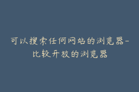 可以搜索任何网站的浏览器-比较开放的浏览器