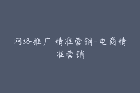网络推广 精准营销-电商精准营销