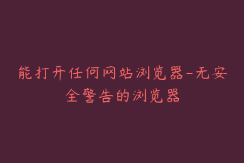 能打开任何网站浏览器-无安全警告的浏览器