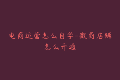 电商运营怎么自学-微商店铺怎么开通
