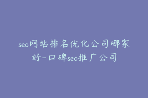 seo网站排名优化公司哪家好-口碑seo推广公司