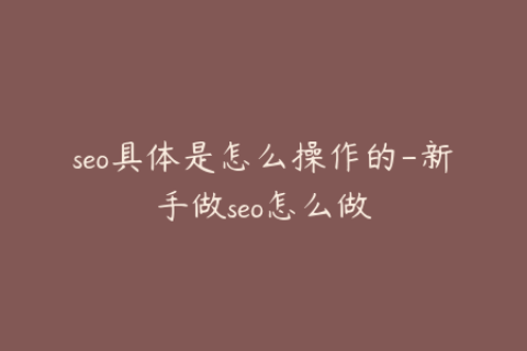 seo具体是怎么操作的-新手做seo怎么做