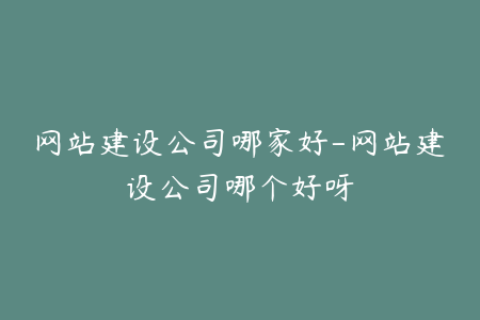 网站建设公司哪家好-网站建设公司哪个好呀