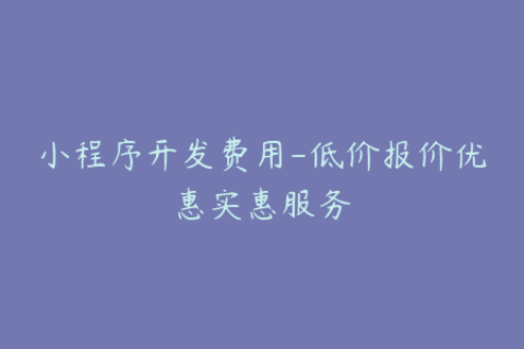 小程序开发费用-低价报价优惠实惠服务