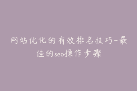 网站优化的有效排名技巧-最佳的seo操作步骤