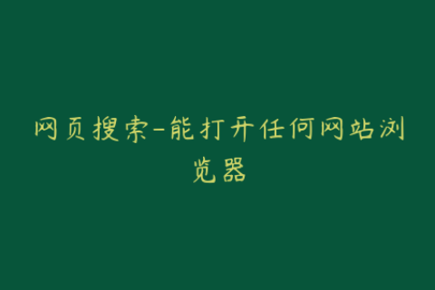 网页搜索-能打开任何网站浏览器