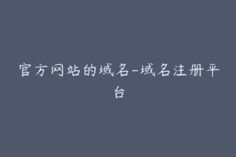 官方网站的域名-域名注册平台