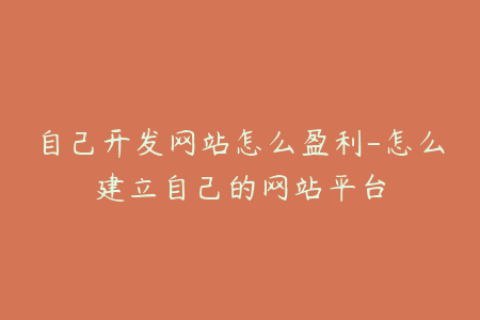 自己开发网站怎么盈利-怎么建立自己的网站平台