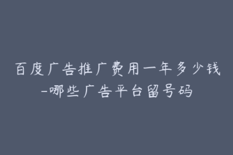 百度广告推广费用一年多少钱-哪些广告平台留号码