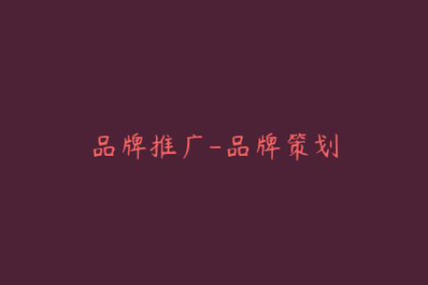品牌推广-品牌策划