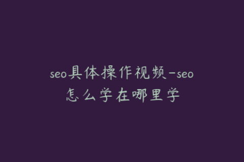 seo具体操作视频-seo怎么学在哪里学