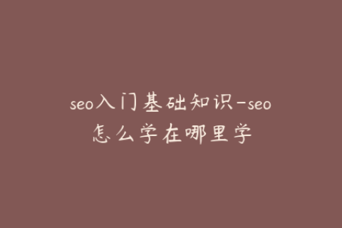 seo入门基础知识-seo怎么学在哪里学