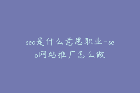 seo是什么意思职业-seo网站推广怎么做