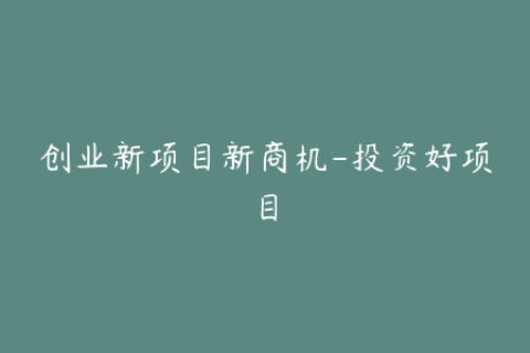 创业新项目新商机-投资好项目