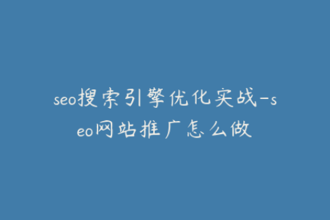 seo搜索引擎优化实战-seo网站推广怎么做