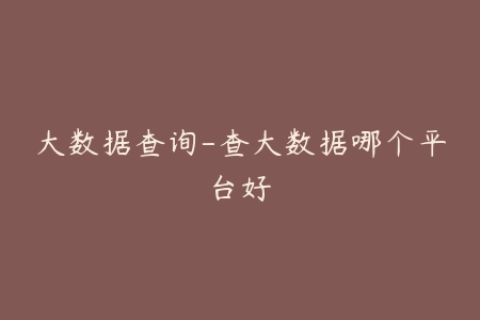 大数据查询-查大数据哪个平台好