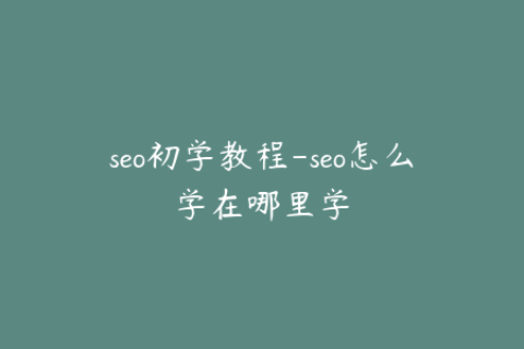 seo初学教程-seo怎么学在哪里学