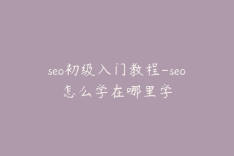 seo初级入门教程-seo怎么学在哪里学