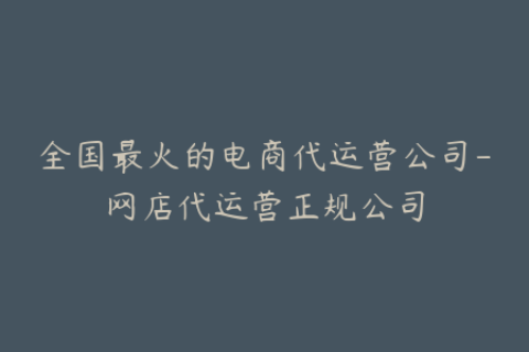 全国最火的电商代运营公司-网店代运营正规公司