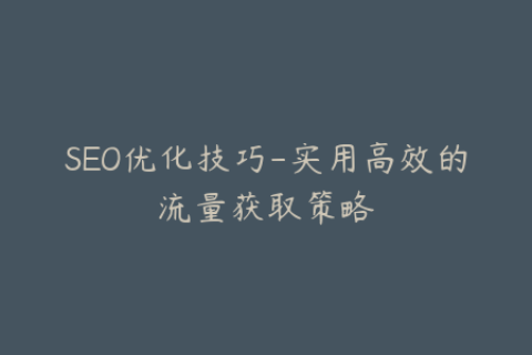 SEO优化技巧-实用高效的流量获取策略