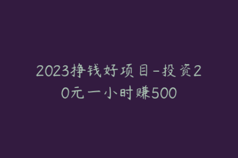 2023挣钱好项目-投资20元一小时赚500