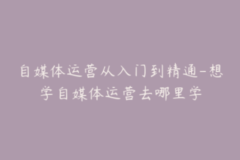 自媒体运营从入门到精通-想学自媒体运营去哪里学