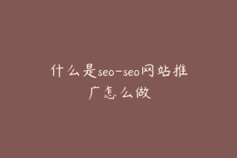 什么是seo-seo网站推广怎么做