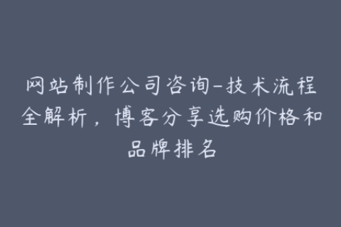 网站制作公司咨询-技术流程全解析，博客分享选购价格和品牌排名