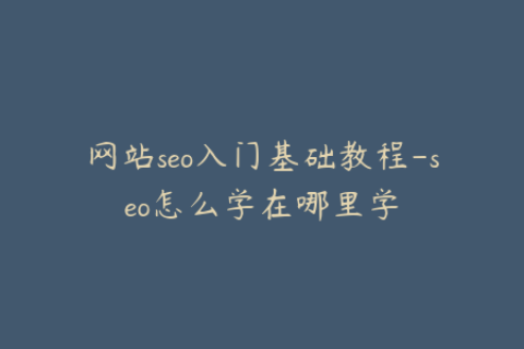 网站seo入门基础教程-seo怎么学在哪里学
