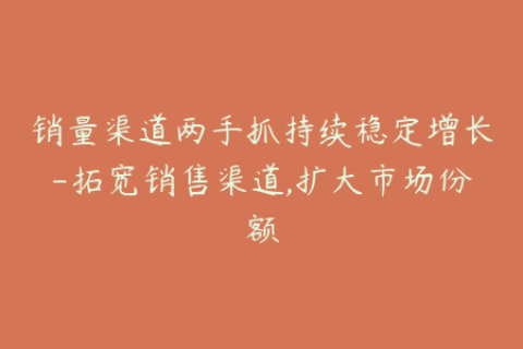 销量渠道两手抓持续稳定增长-拓宽销售渠道,扩大市场份额