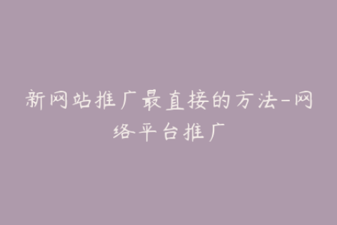 新网站推广最直接的方法-网络平台推广
