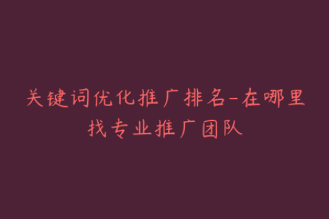 关键词优化推广排名-在哪里找专业推广团队