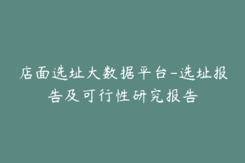 店面选址大数据平台-选址报告及可行性研究报告