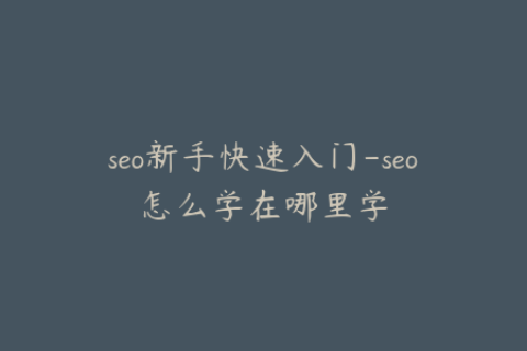 seo新手快速入门-seo怎么学在哪里学