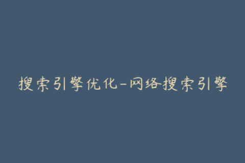 搜索引擎优化-网络搜索引擎